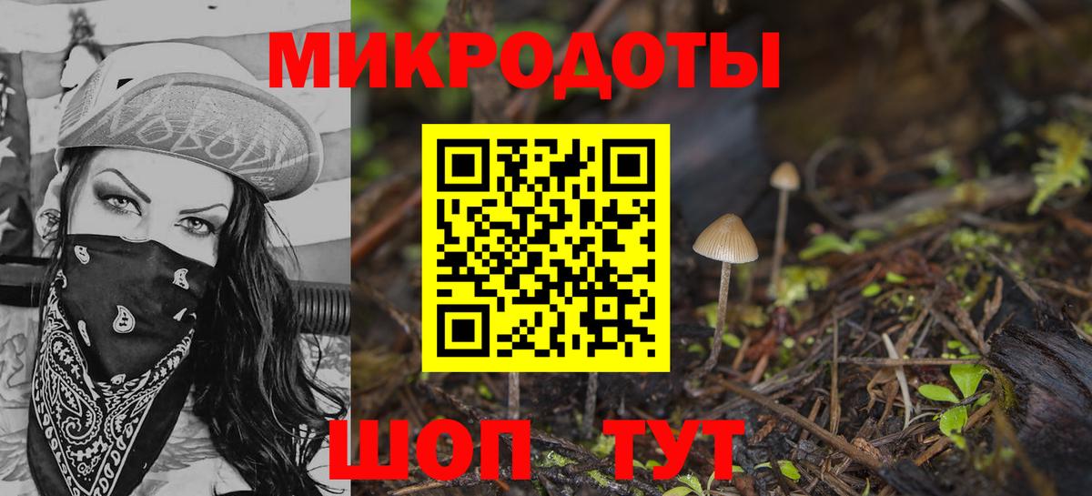 Псилоцибиновые грибы прущие грибы Новотроицк