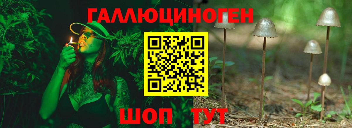 Псилоцибиновые грибы прущие грибы  Галлюциногенные грибы Psilocybine cubensis  Вход с VPN  купить наркотики сайты  Новотроицк 